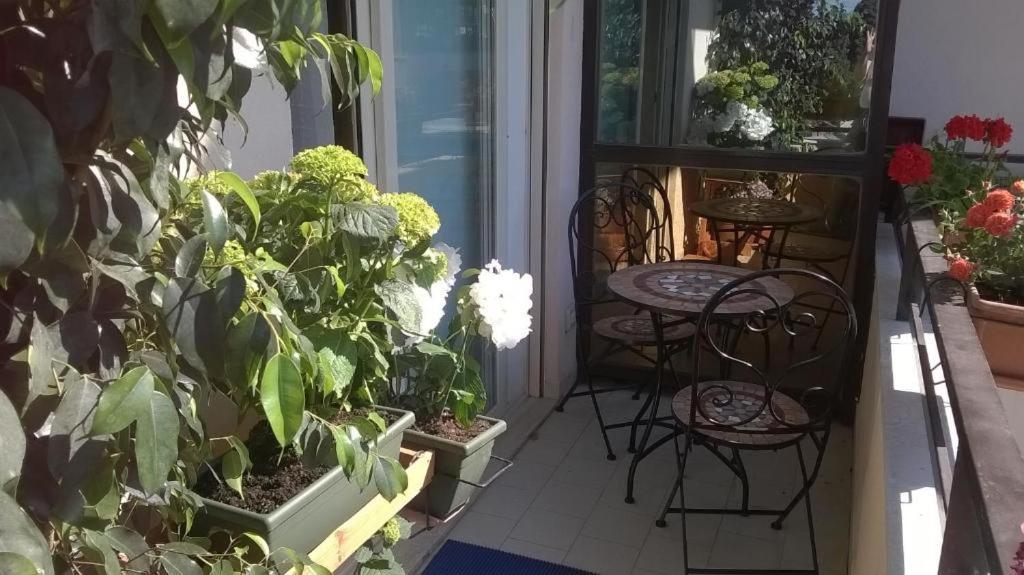 Bed and Breakfast Bb Dante Mesyna Zewnętrze zdjęcie